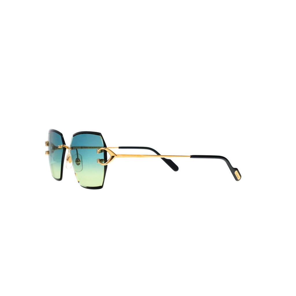CT0466S  Signature C Sunglasses
