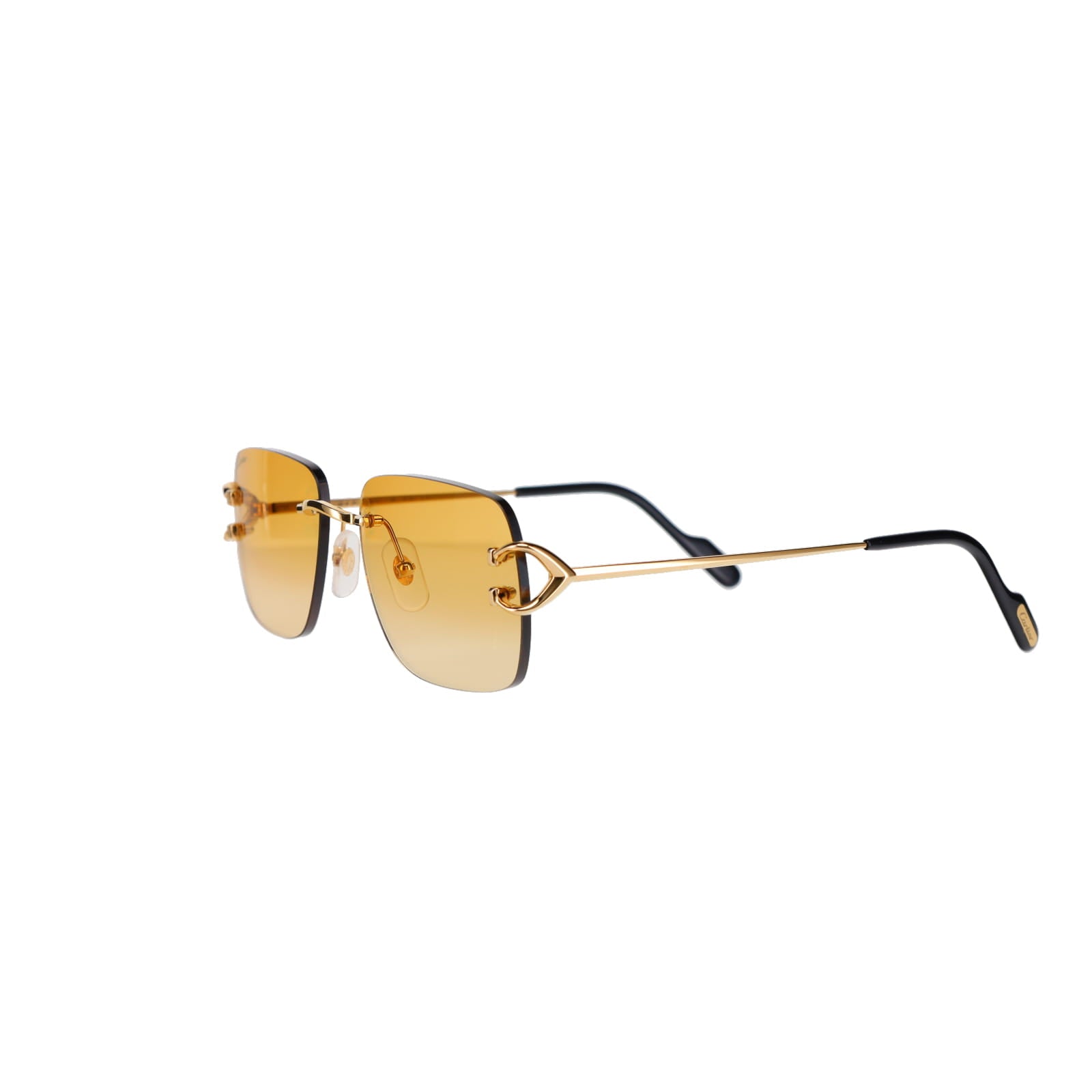 CT0330S Signature C  Sunglasses