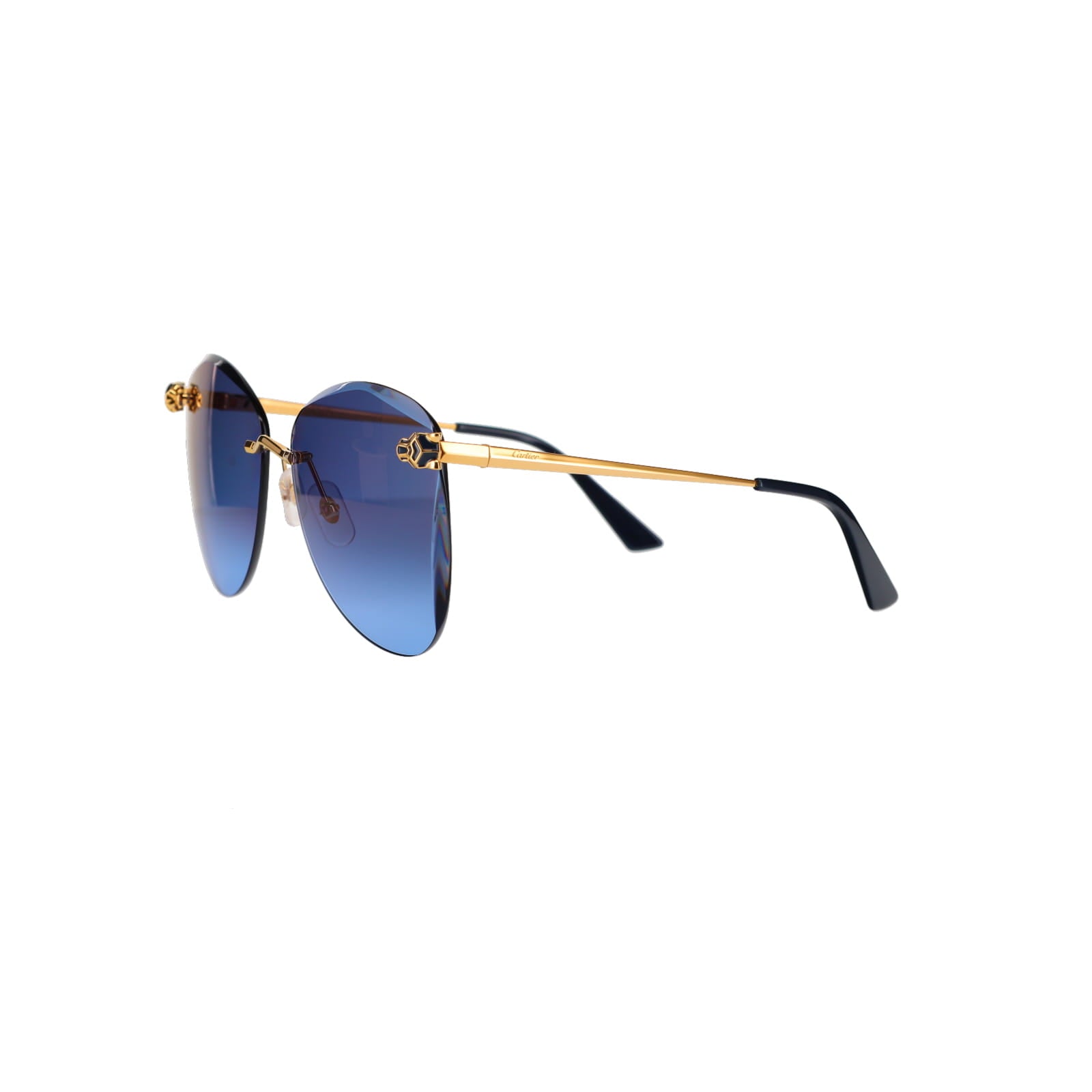 CT0398S Cat-eye Panthère Sunglasses