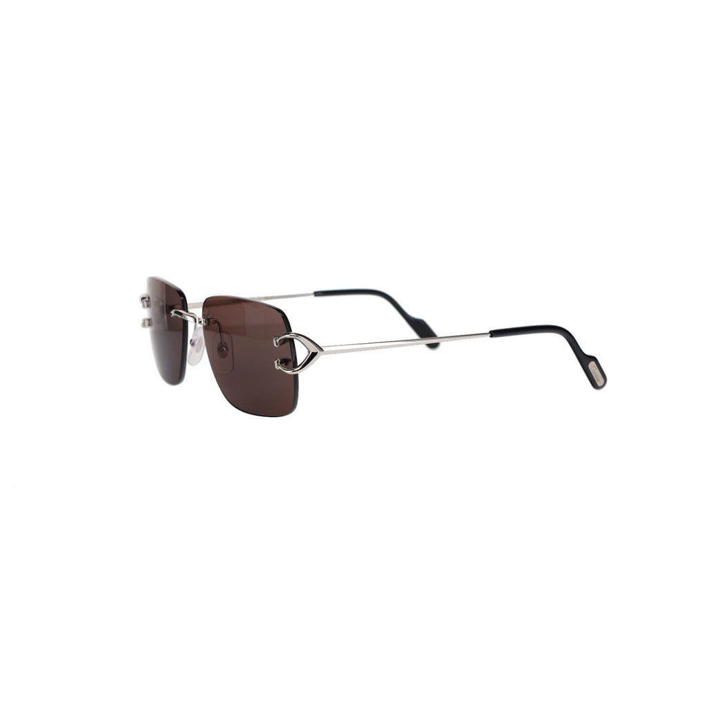 CT0330S Signature C  Sunglasses