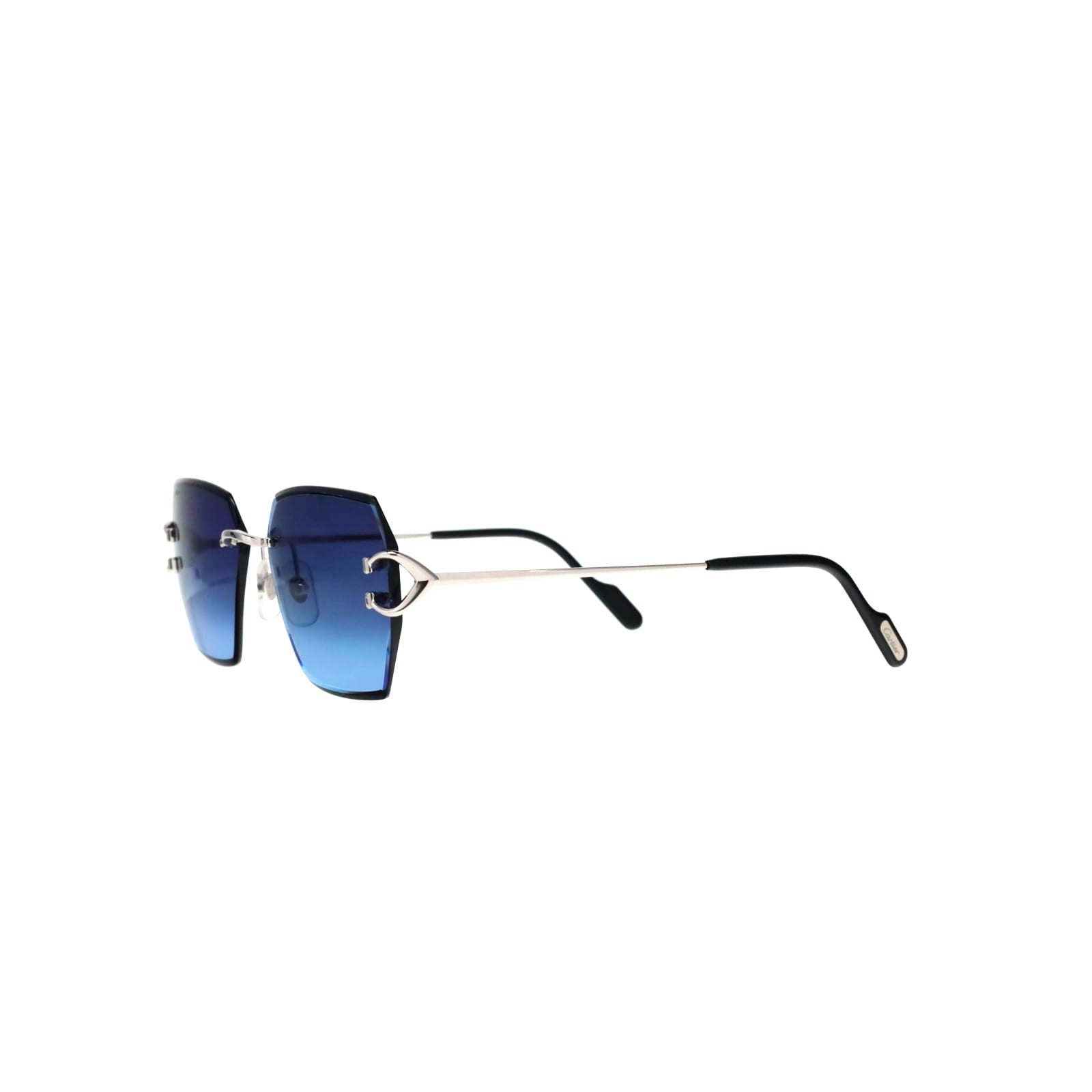 CT0466S  Signature C Sunglasses