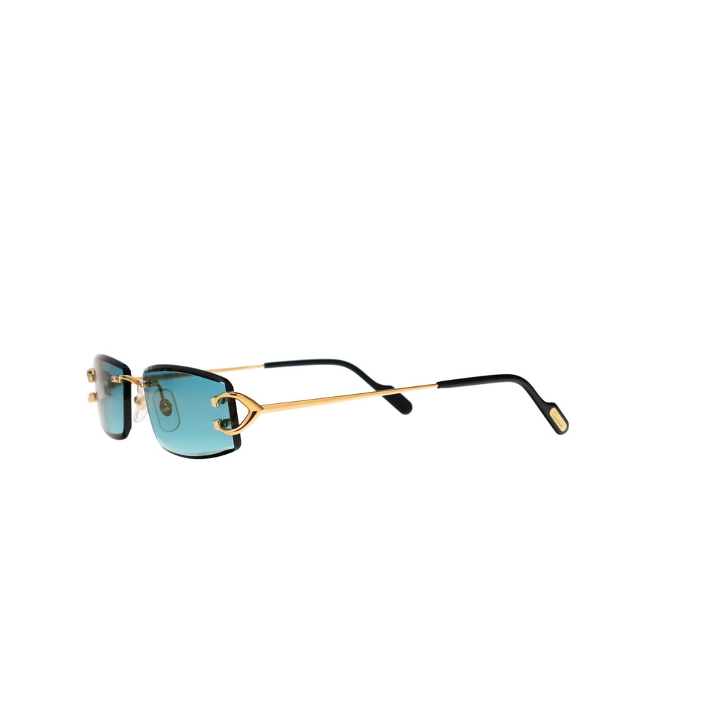 CT0465S Signature C  Rectangular Sunglasses