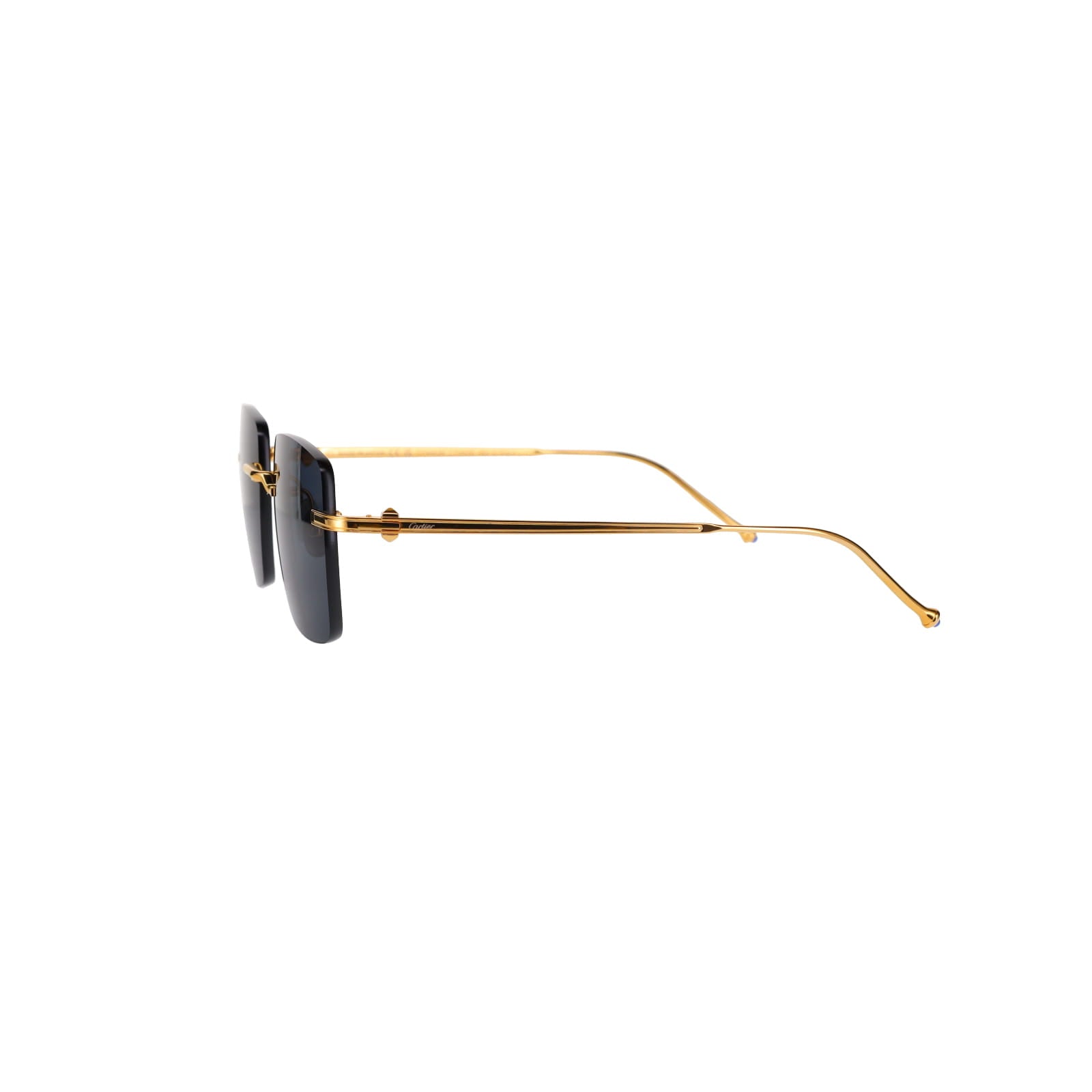 CT0403S Pasha Sunglasses