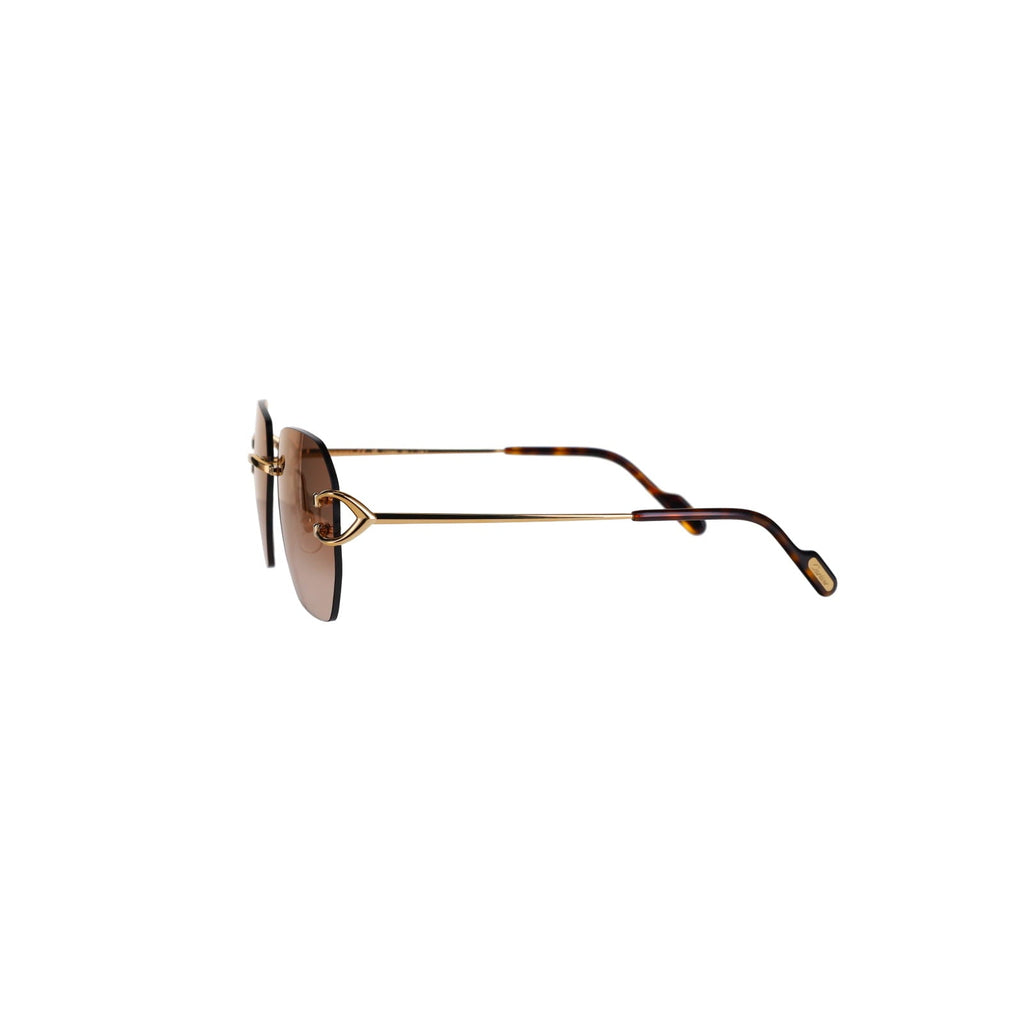 CT0394S Signature C Sunglasses