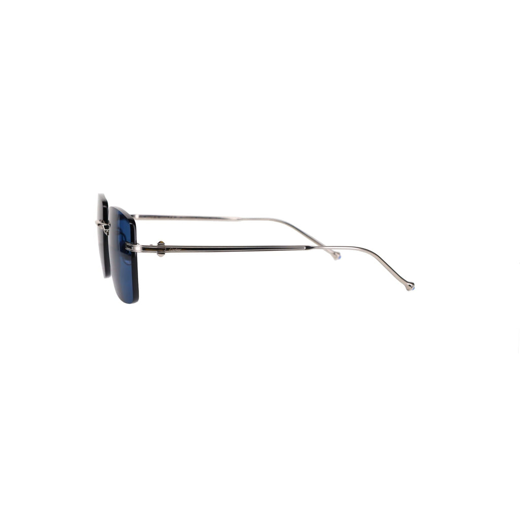CT0403S Pasha Sunglasses