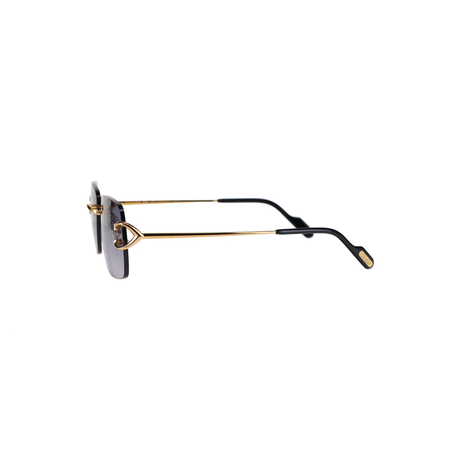 CT0330S Signature C  Sunglasses