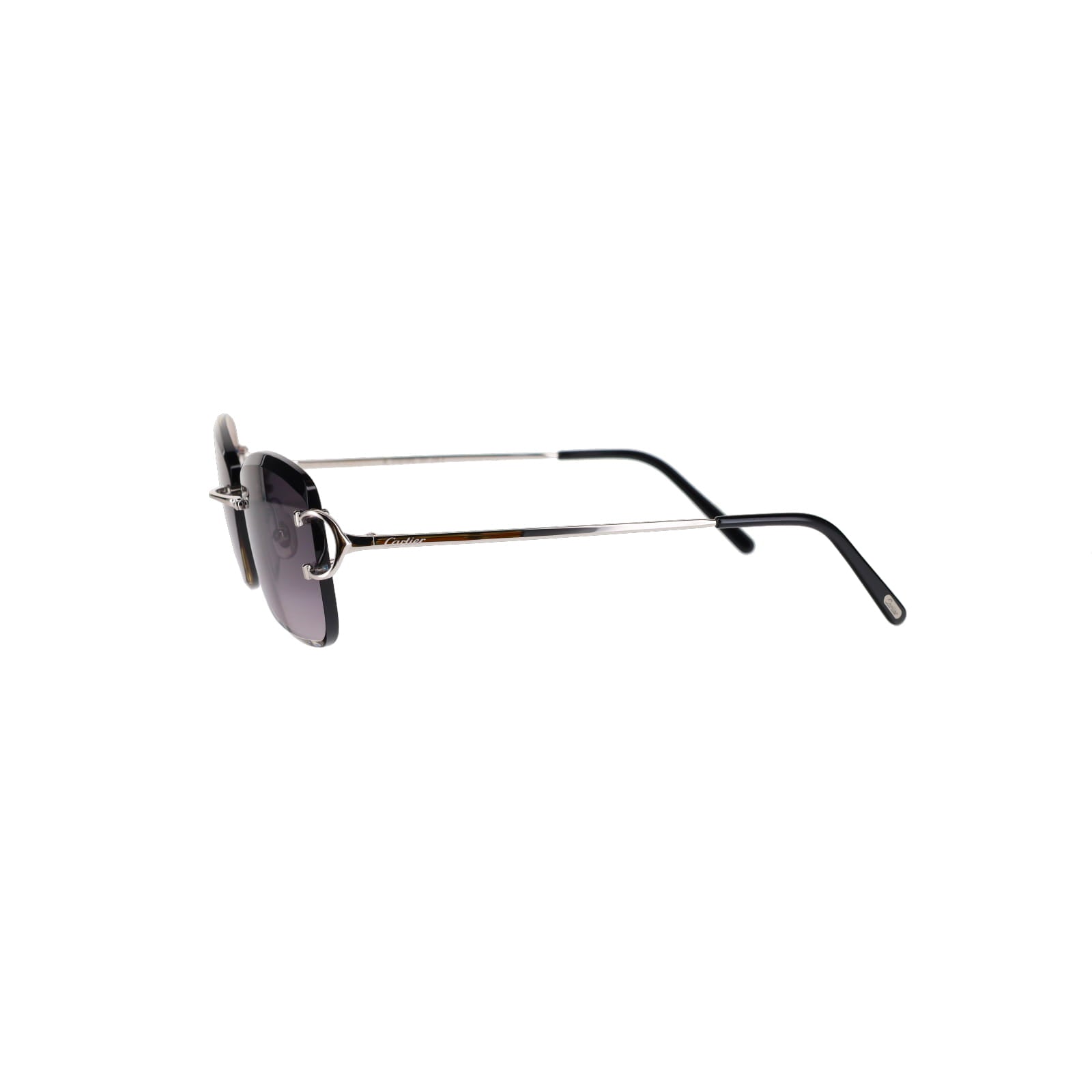 CT0010RS Signature C Sunglasses