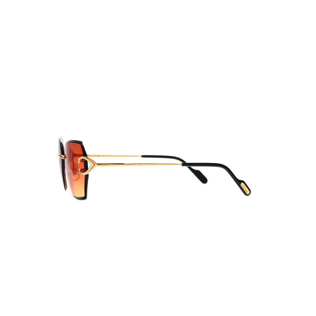 CT0466S  Signature C Sunglasses