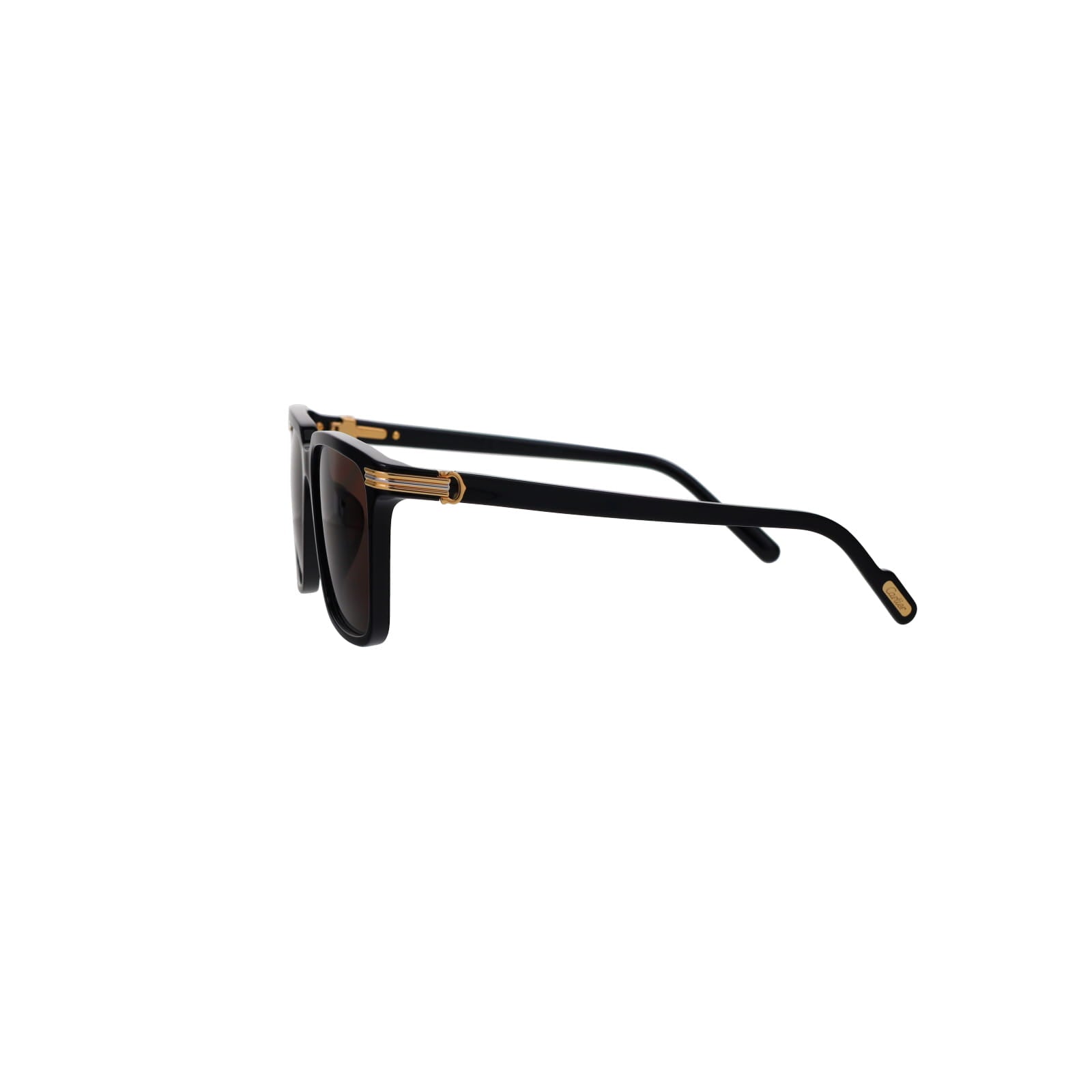 CT0366S Contemporary Acetate Sunglasses