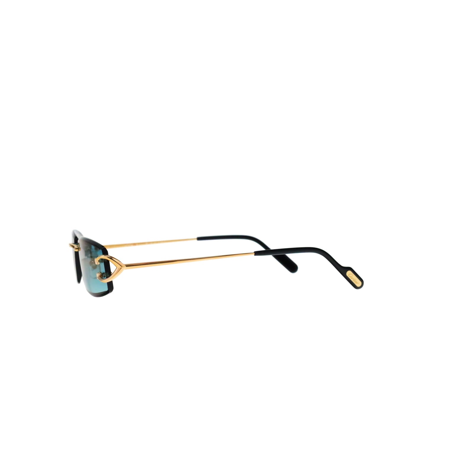 CT0465S Signature C  Rectangular Sunglasses