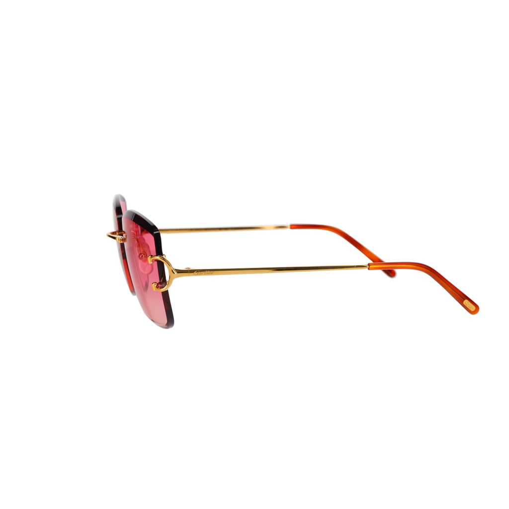 CT0007RS Signature C Sunglasses