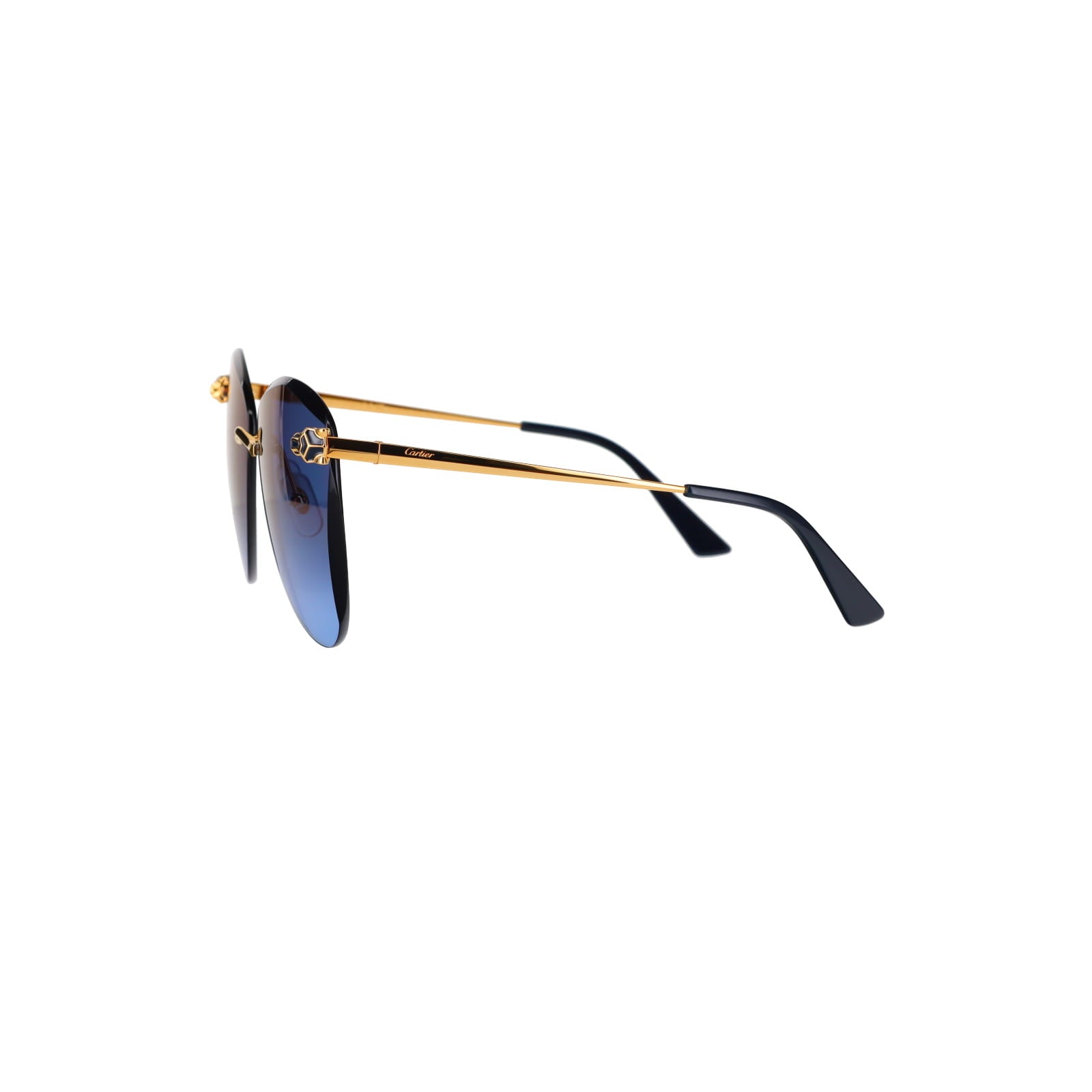 CT0398S Cat-eye Panthère Sunglasses
