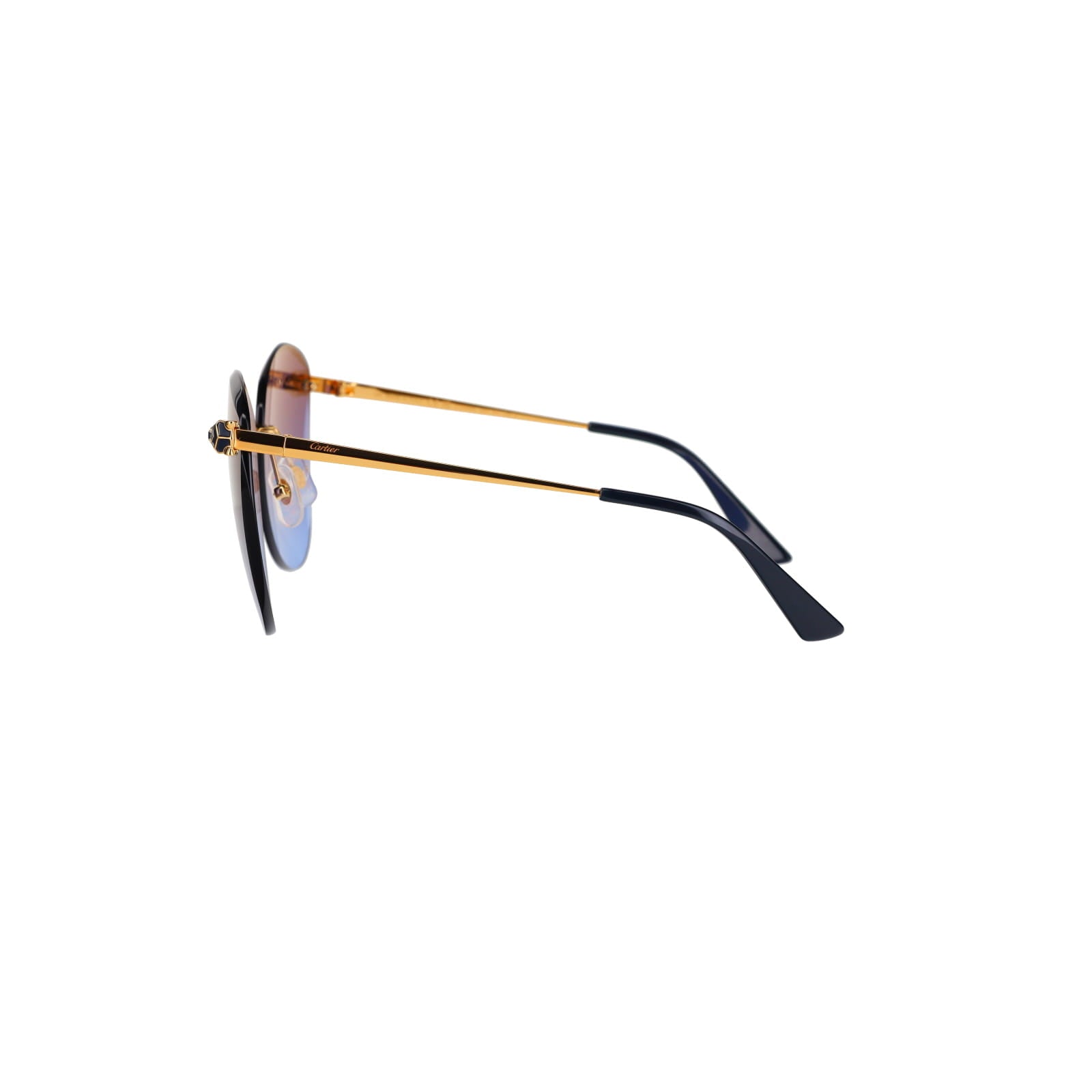 CT0398S Cat-eye Panthère Sunglasses