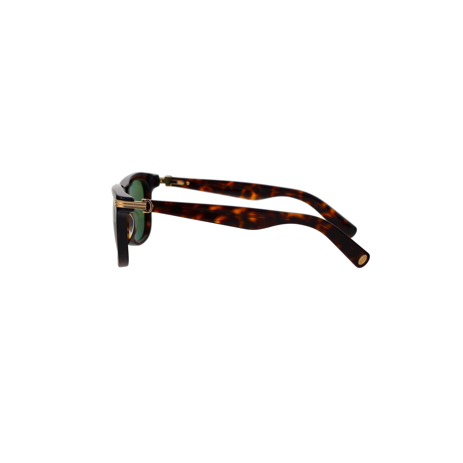 CT0396S Godron Contemporary Acetate Sunglasses