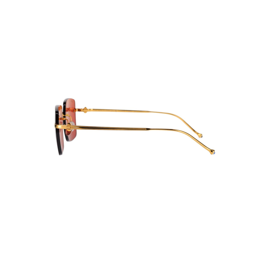 CT0403S Pasha Sunglasses