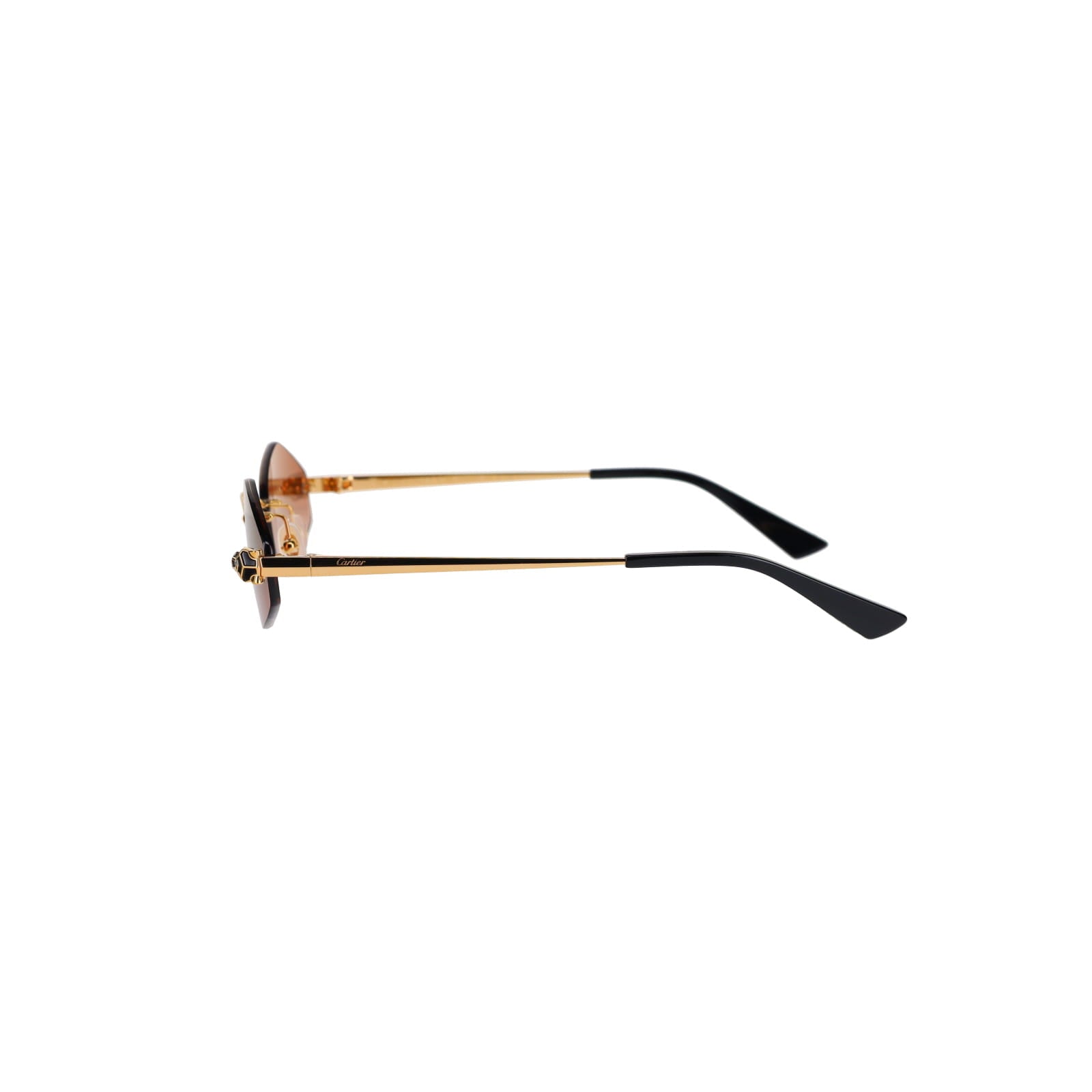 CT0433S Hexagonal Panthère Sunglasses