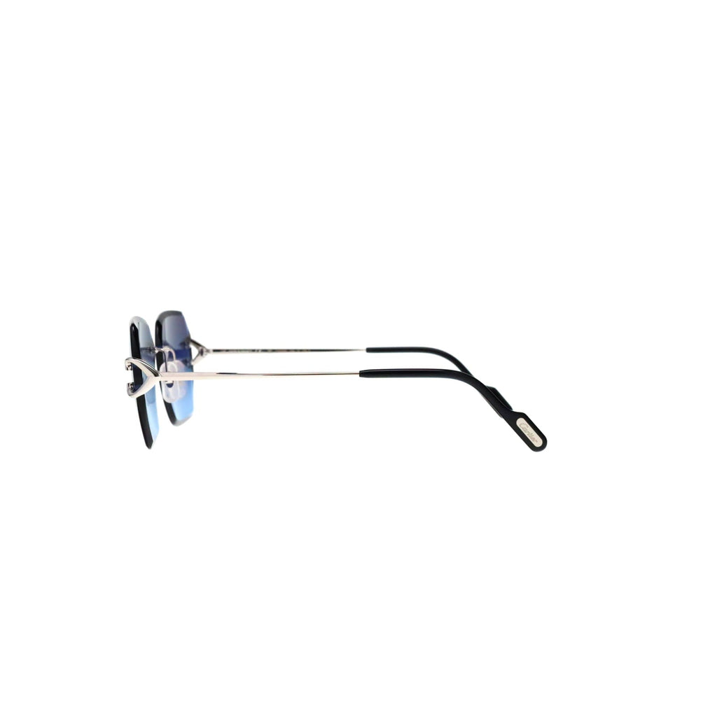 CT0466S  Signature C Sunglasses