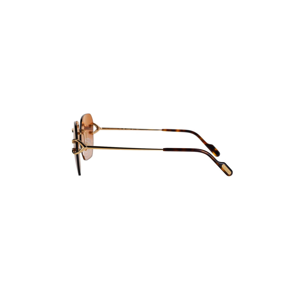 CT0394S Signature C Sunglasses