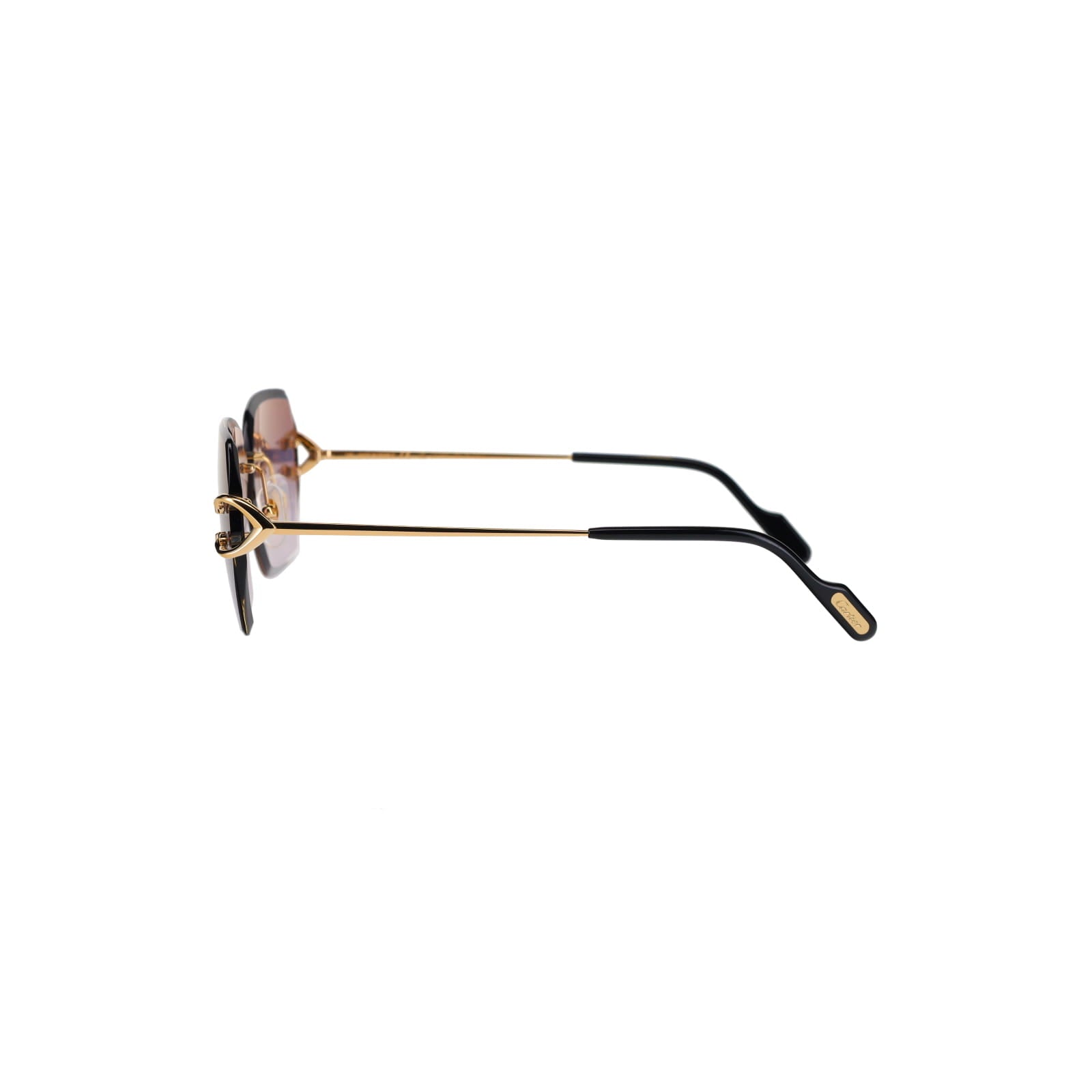 CT0466S  Signature C Sunglasses