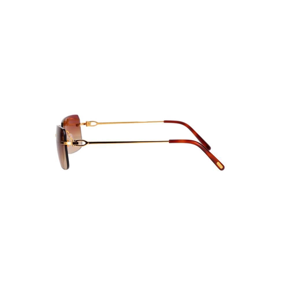 CT0006RS  C Décor Sunglasses