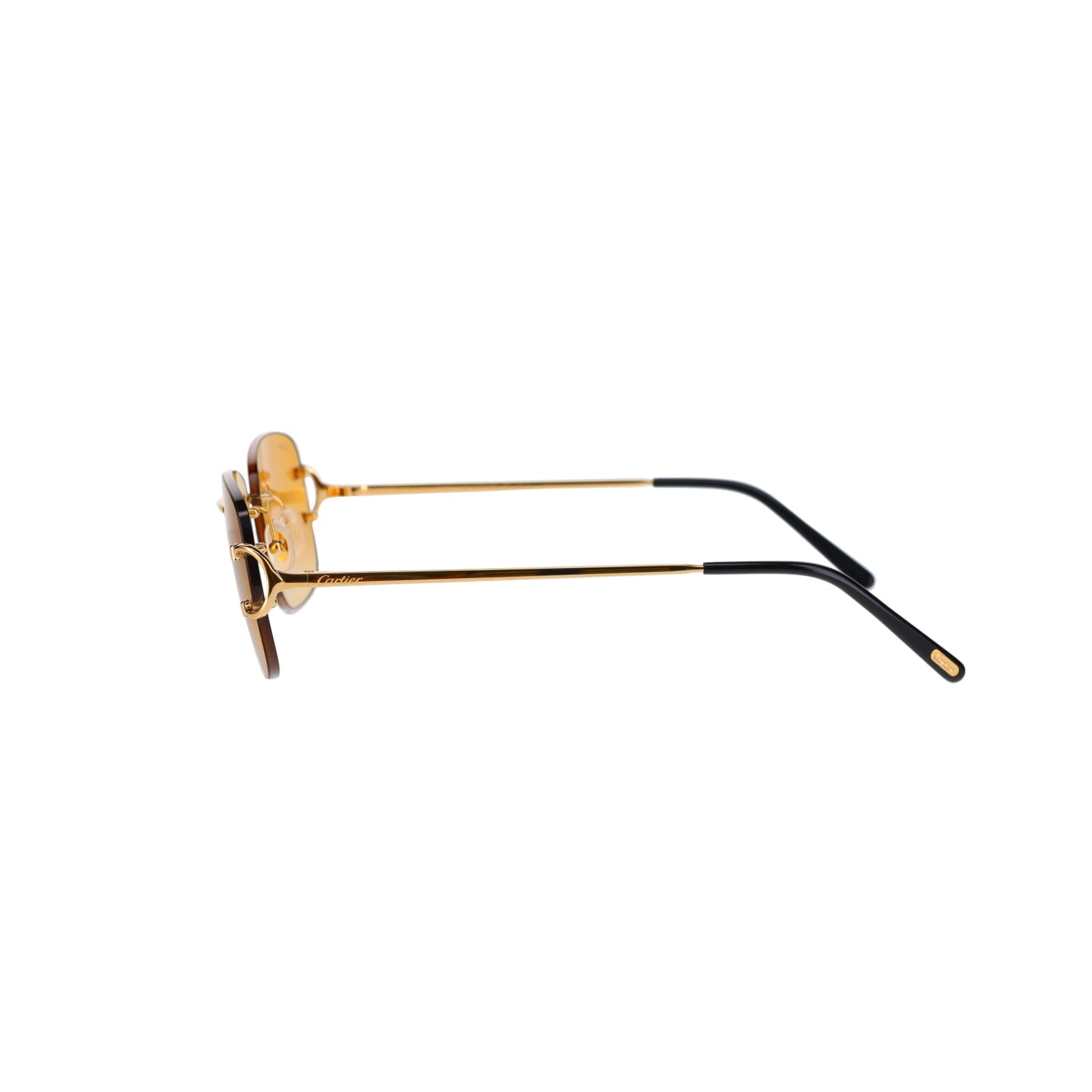 CT0011RS Signature C Sunglasses