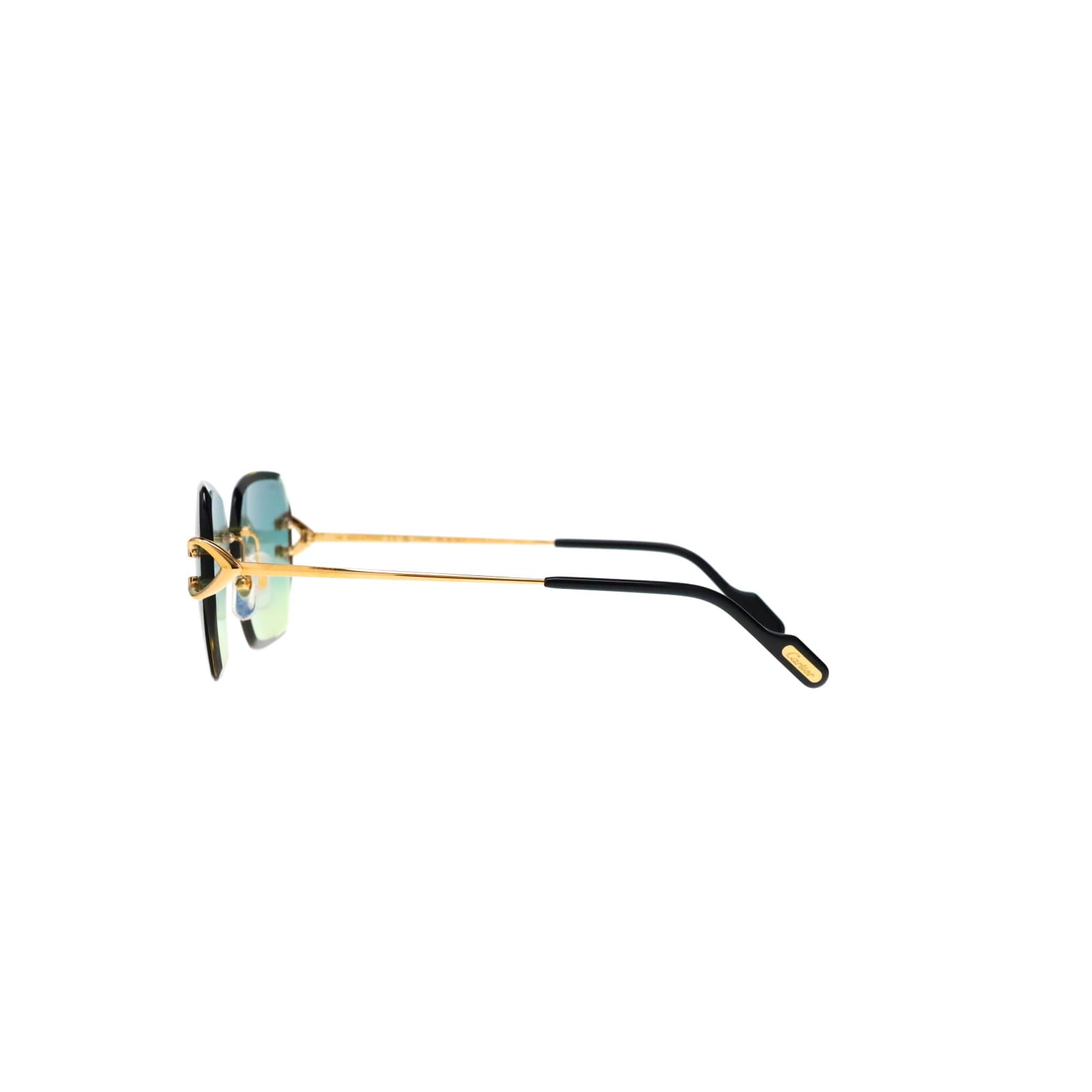 CT0466S  Signature C Sunglasses
