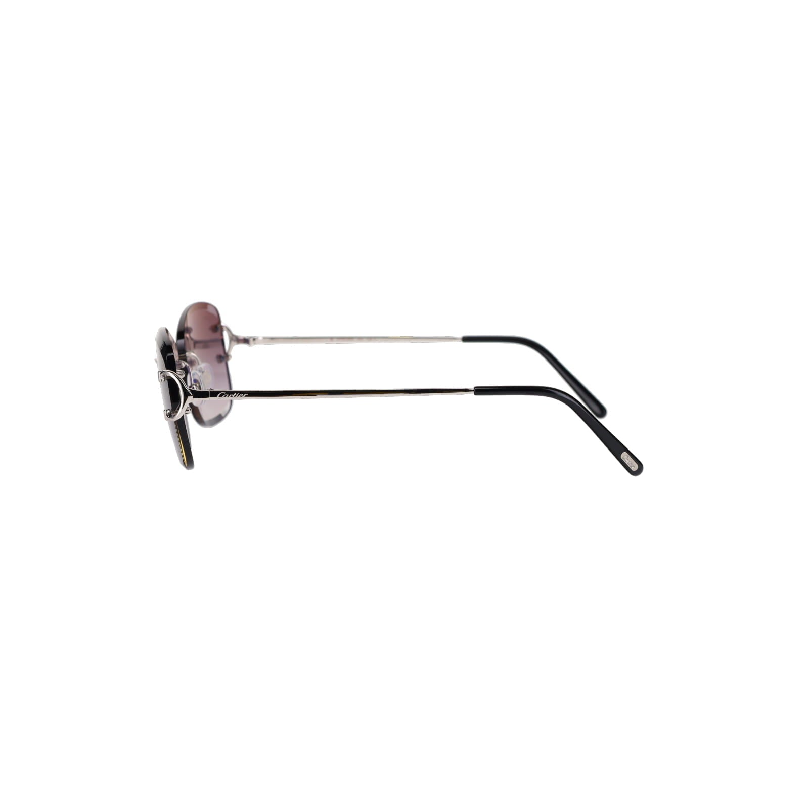 CT0010RS Signature C Sunglasses