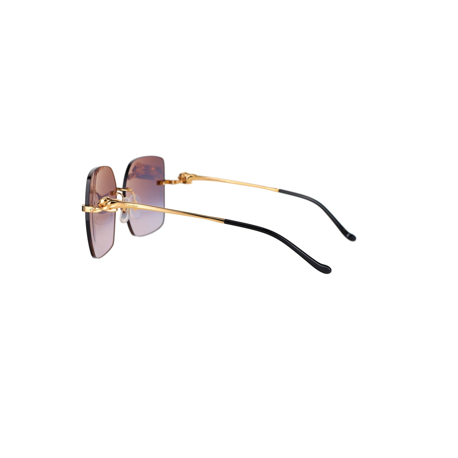 CT0359S Panthère Sunglasses
