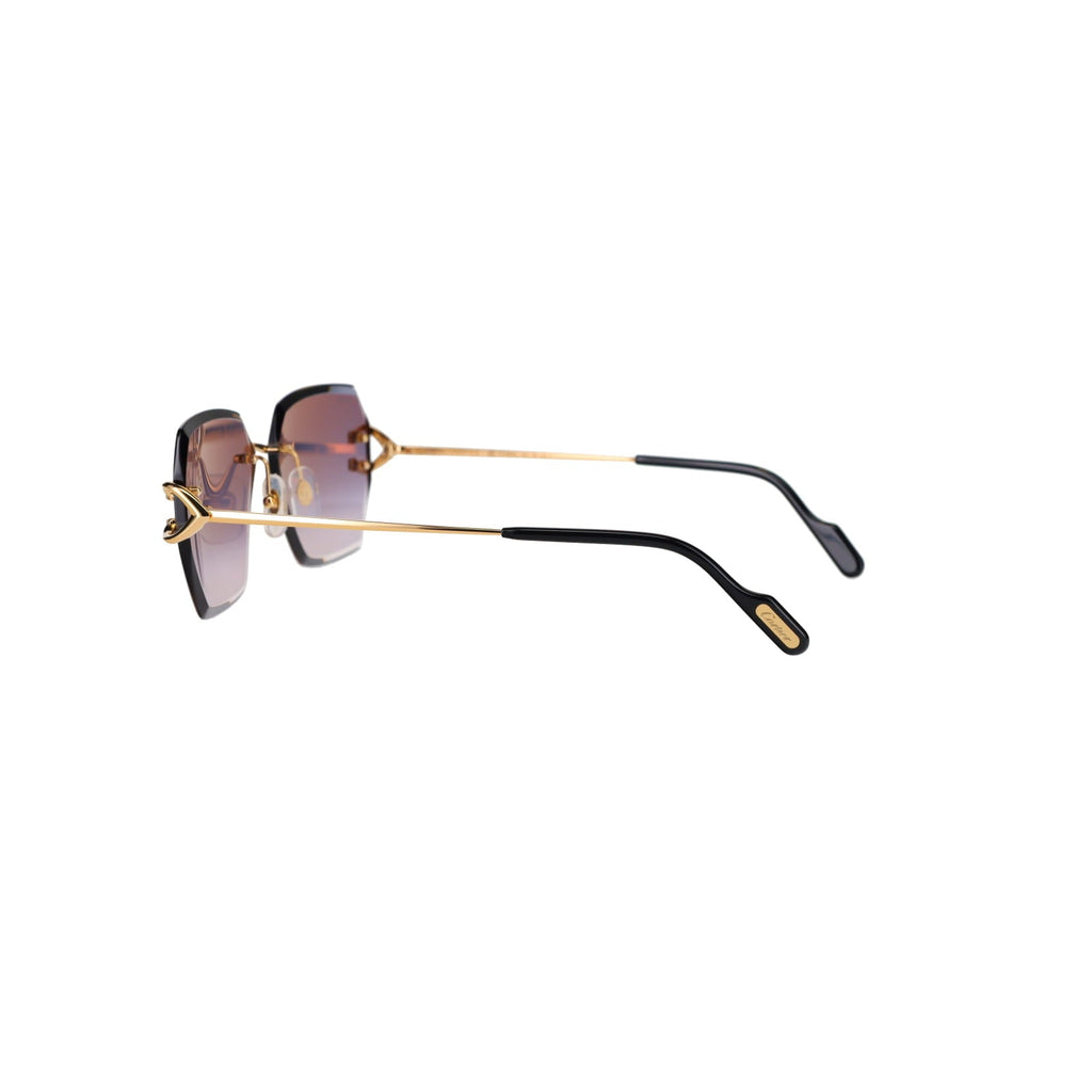 CT0466S  Signature C Sunglasses