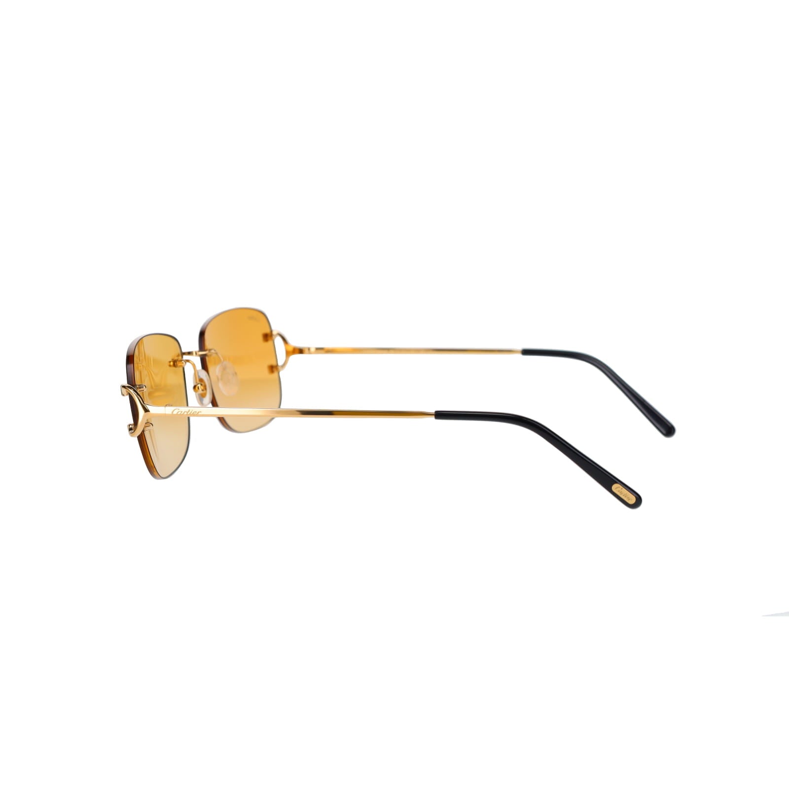 CT0011RS Signature C Sunglasses