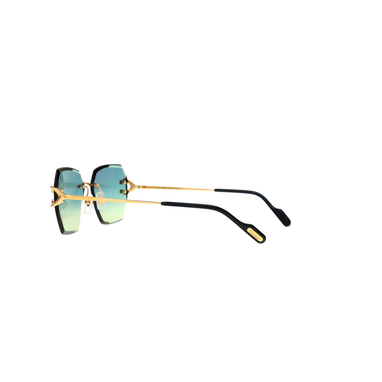 CT0466S  Signature C Sunglasses