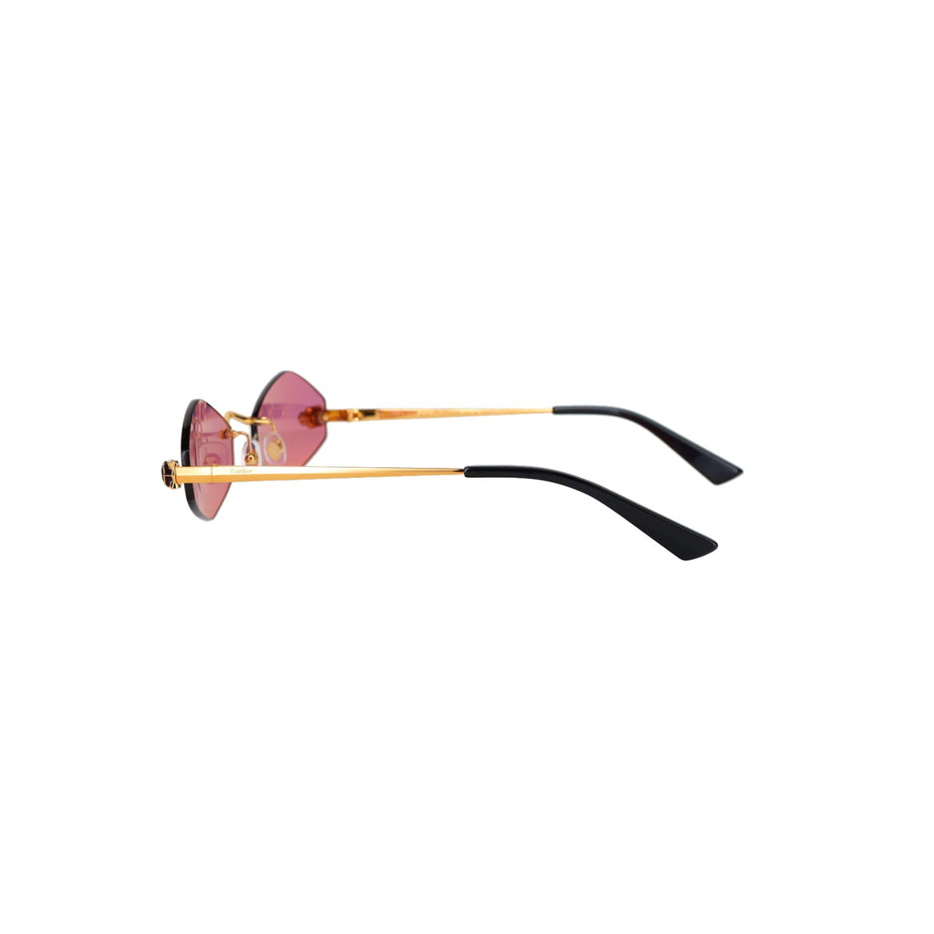 CT0433S Hexagonal Panthère Sunglasses