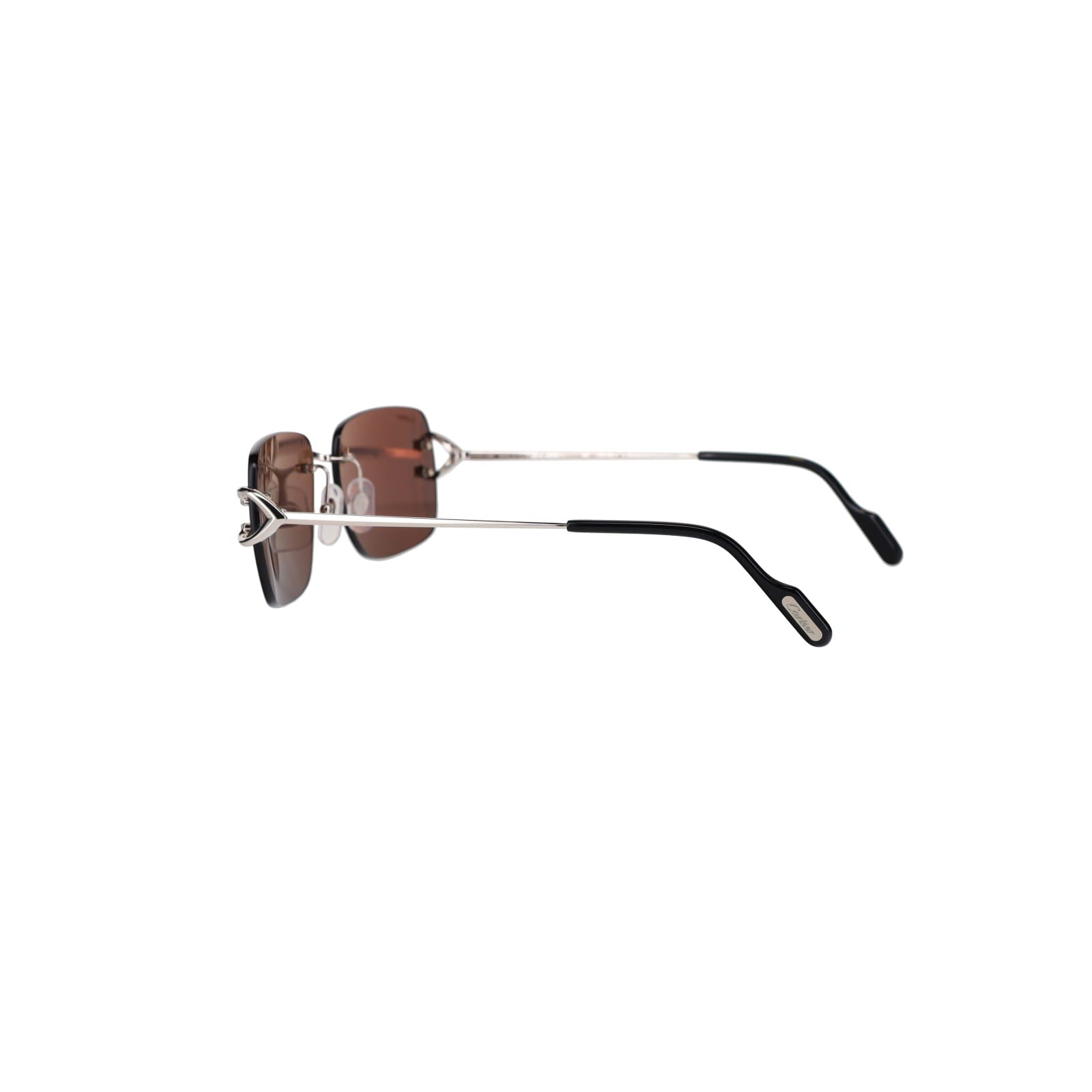 CT0330S Signature C  Sunglasses