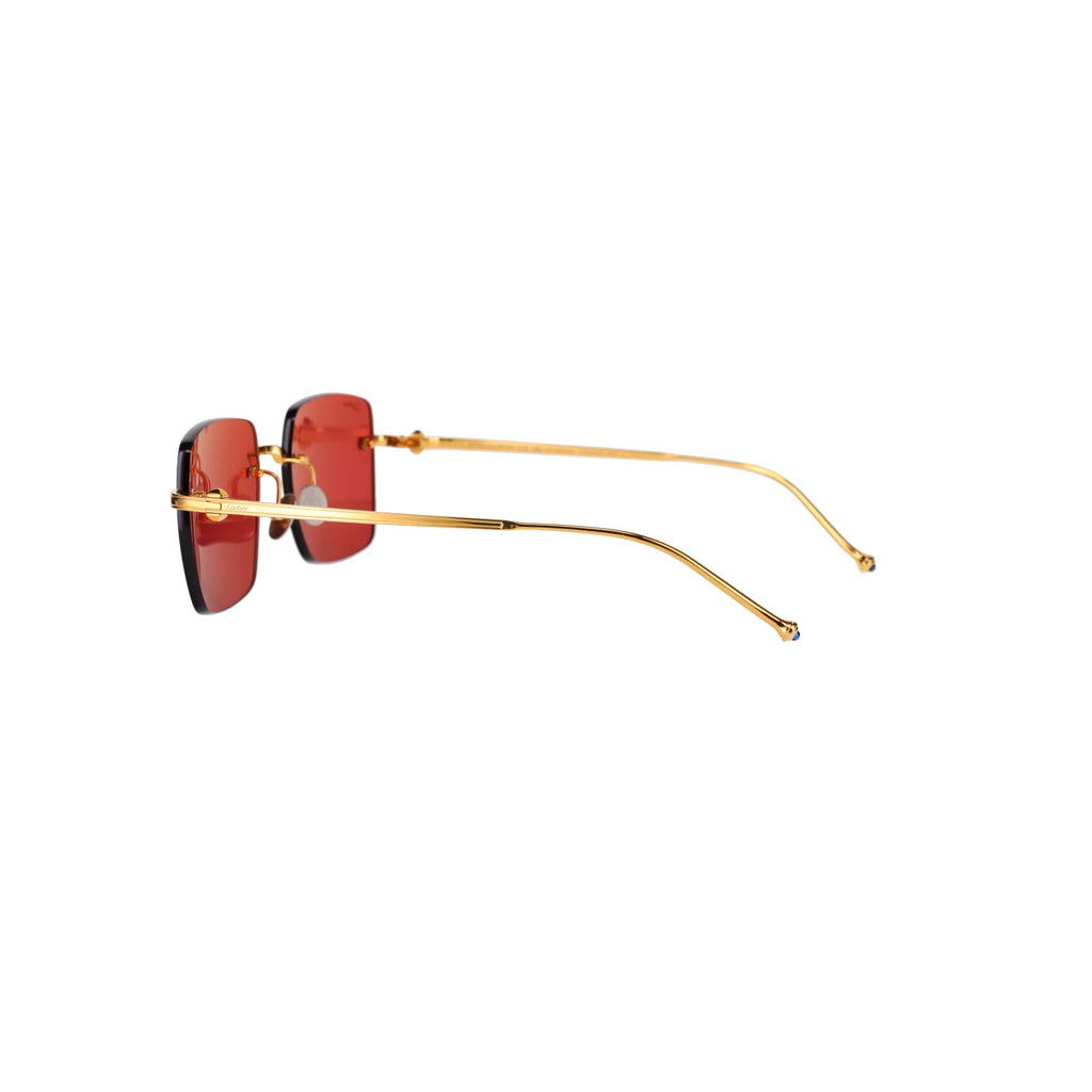 CT0403S Pasha Sunglasses