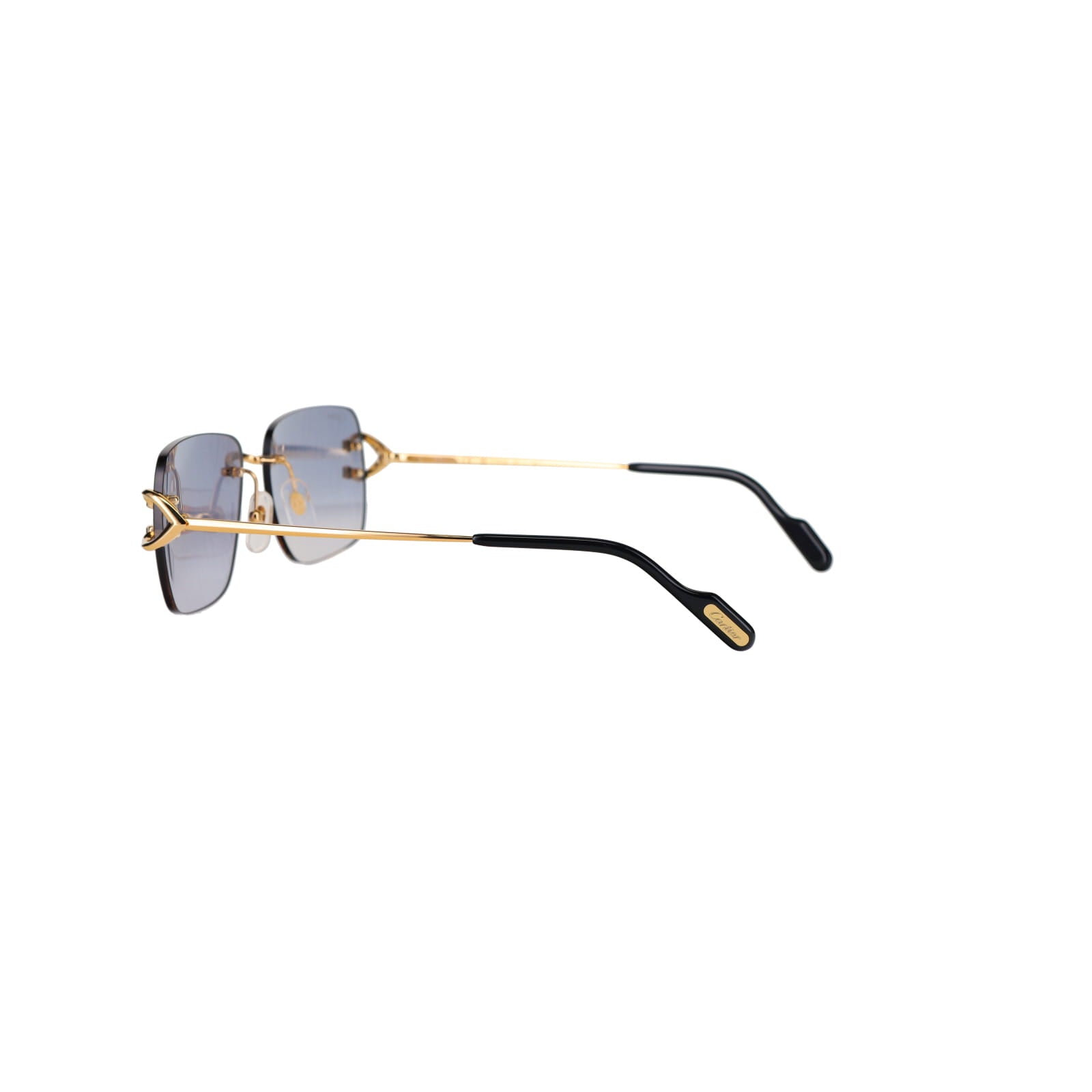 CT0330S Signature C  Sunglasses