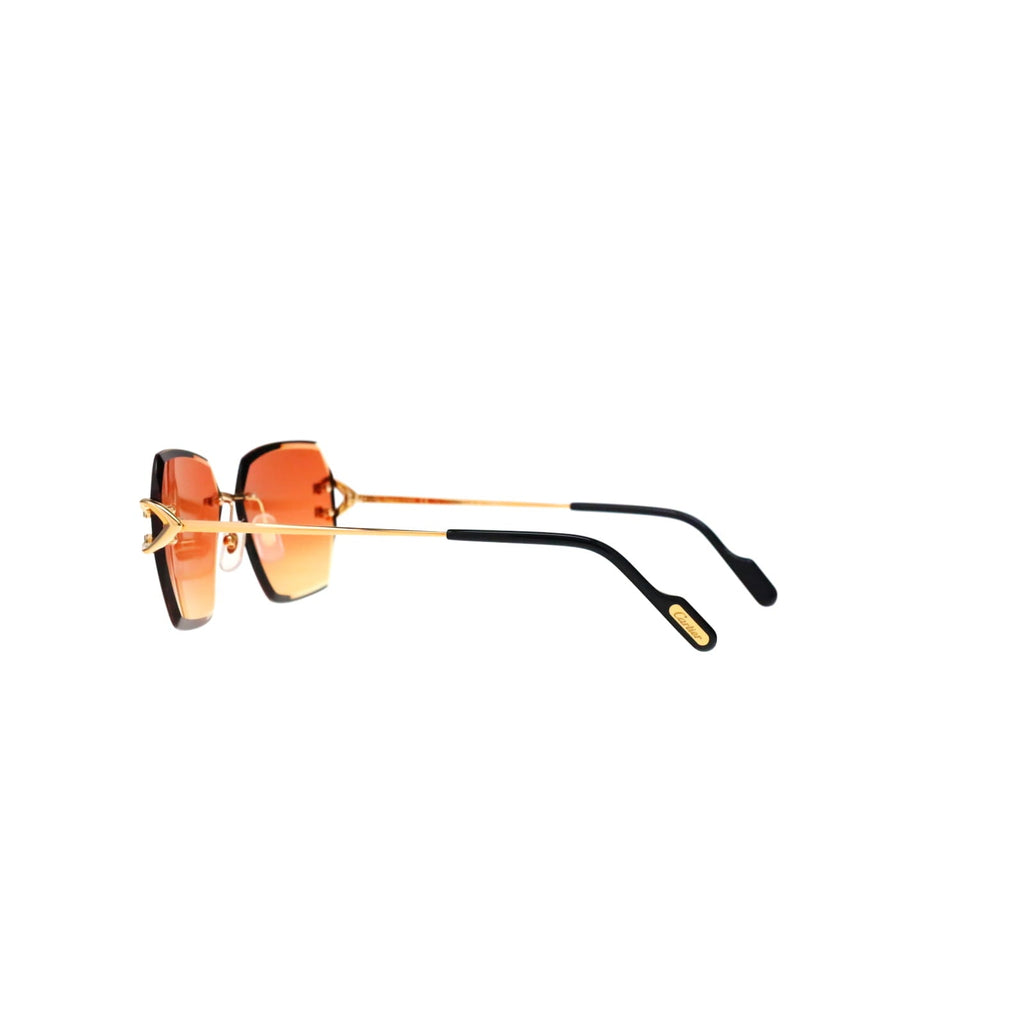 CT0466S  Signature C Sunglasses