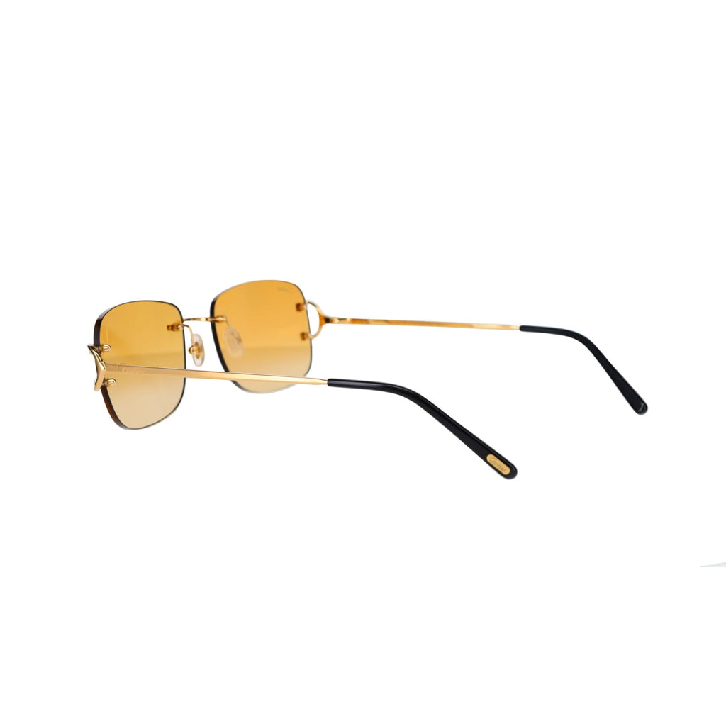 CT0011RS Signature C Sunglasses