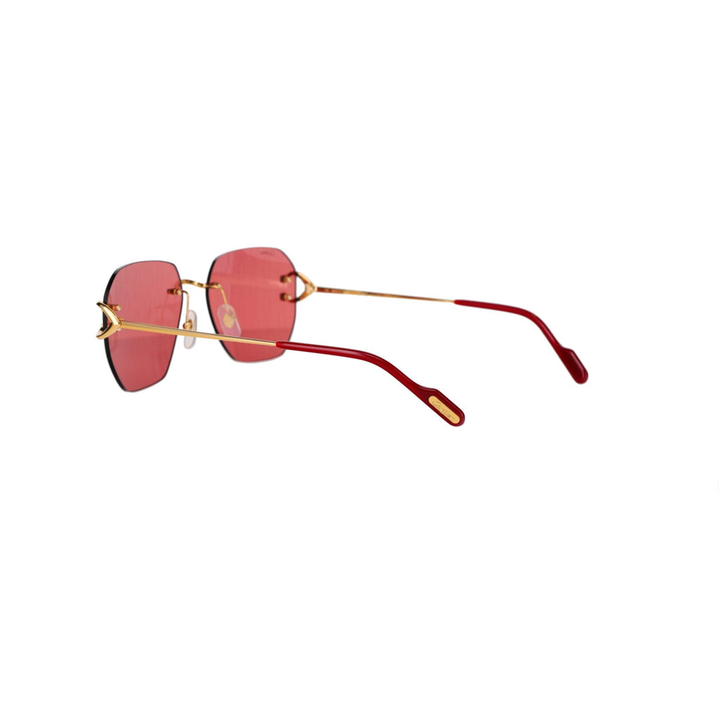 CT0394S Signature C Sunglasses