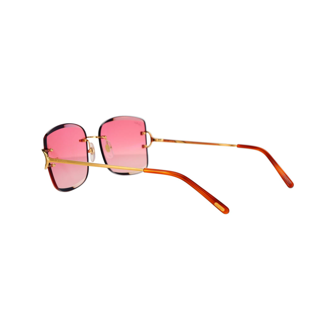 CT0007RS Signature C Sunglasses