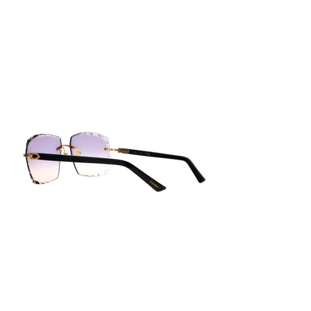 Cartier Custom C Décor Acetate Sunglasses