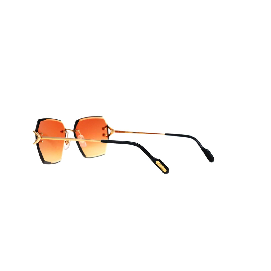 CT0466S  Signature C Sunglasses