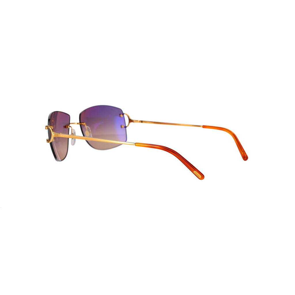 CT0008RS Signature C Sunglasses
