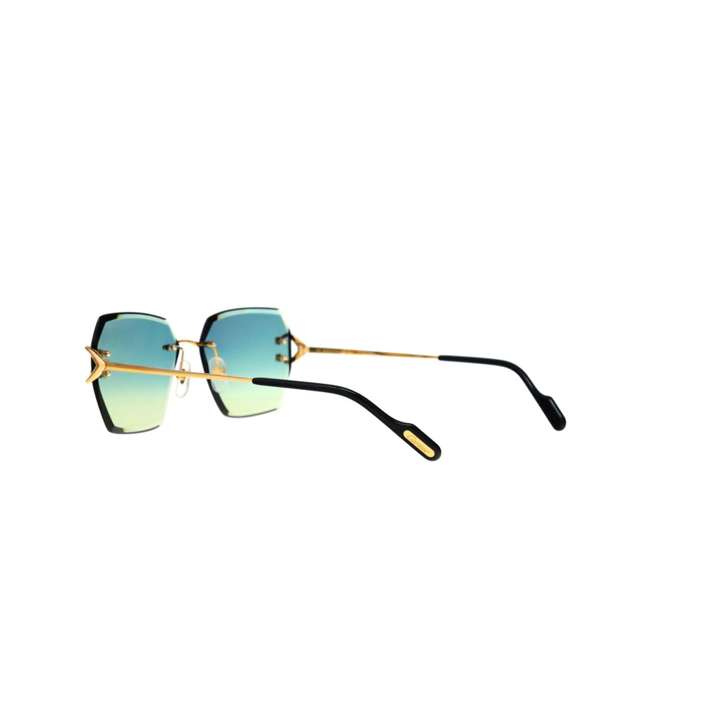 CT0466S  Signature C Sunglasses