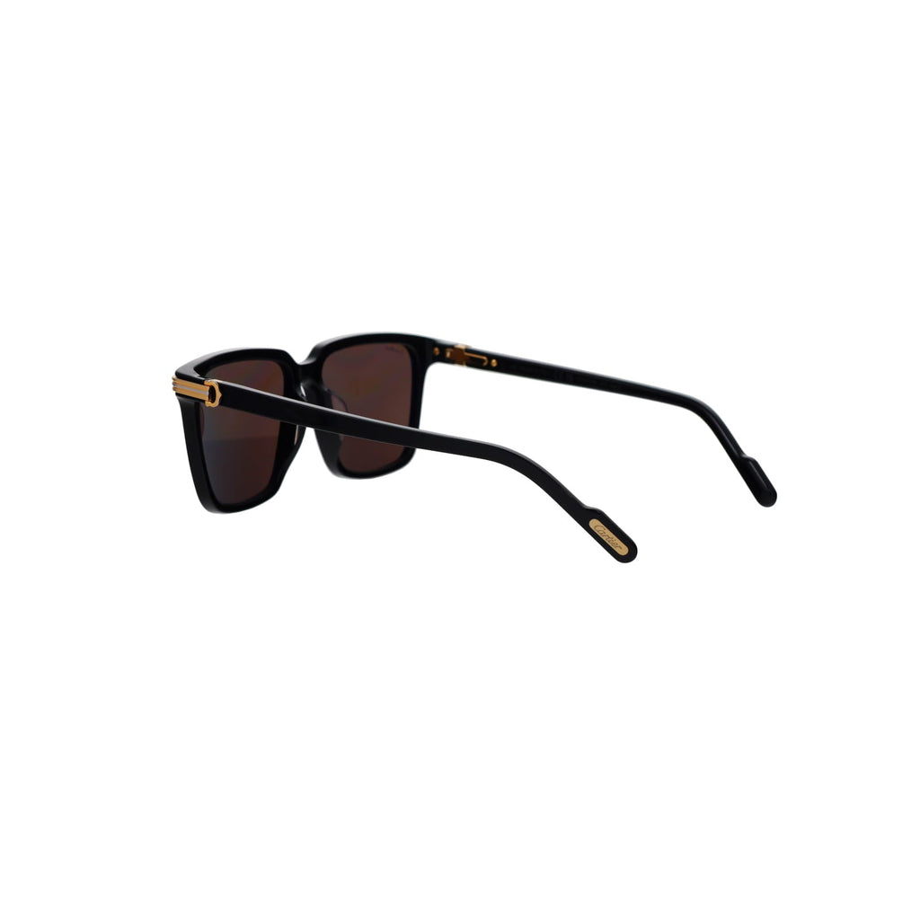 CT0366S Contemporary Acetate Sunglasses