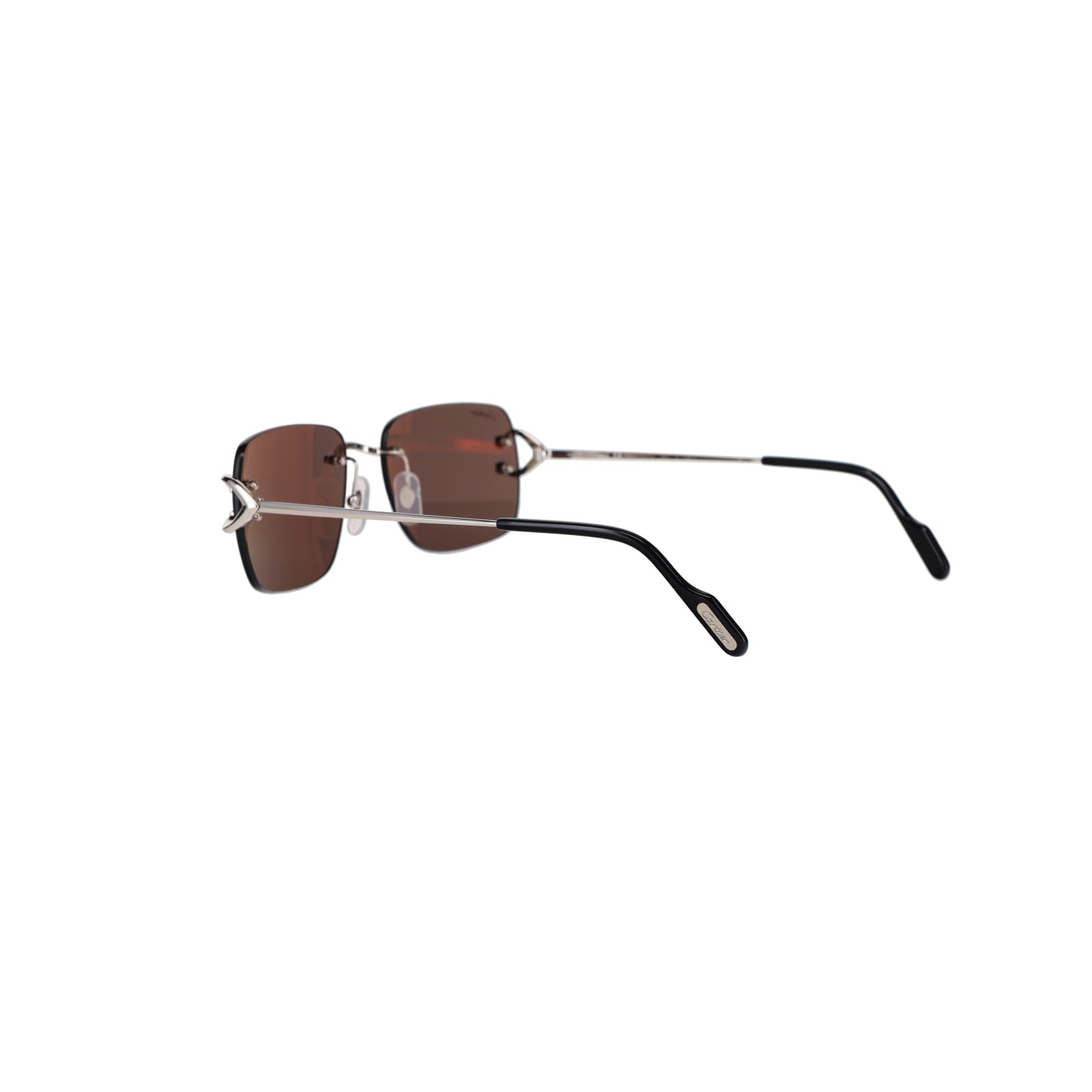CT0330S Signature C  Sunglasses