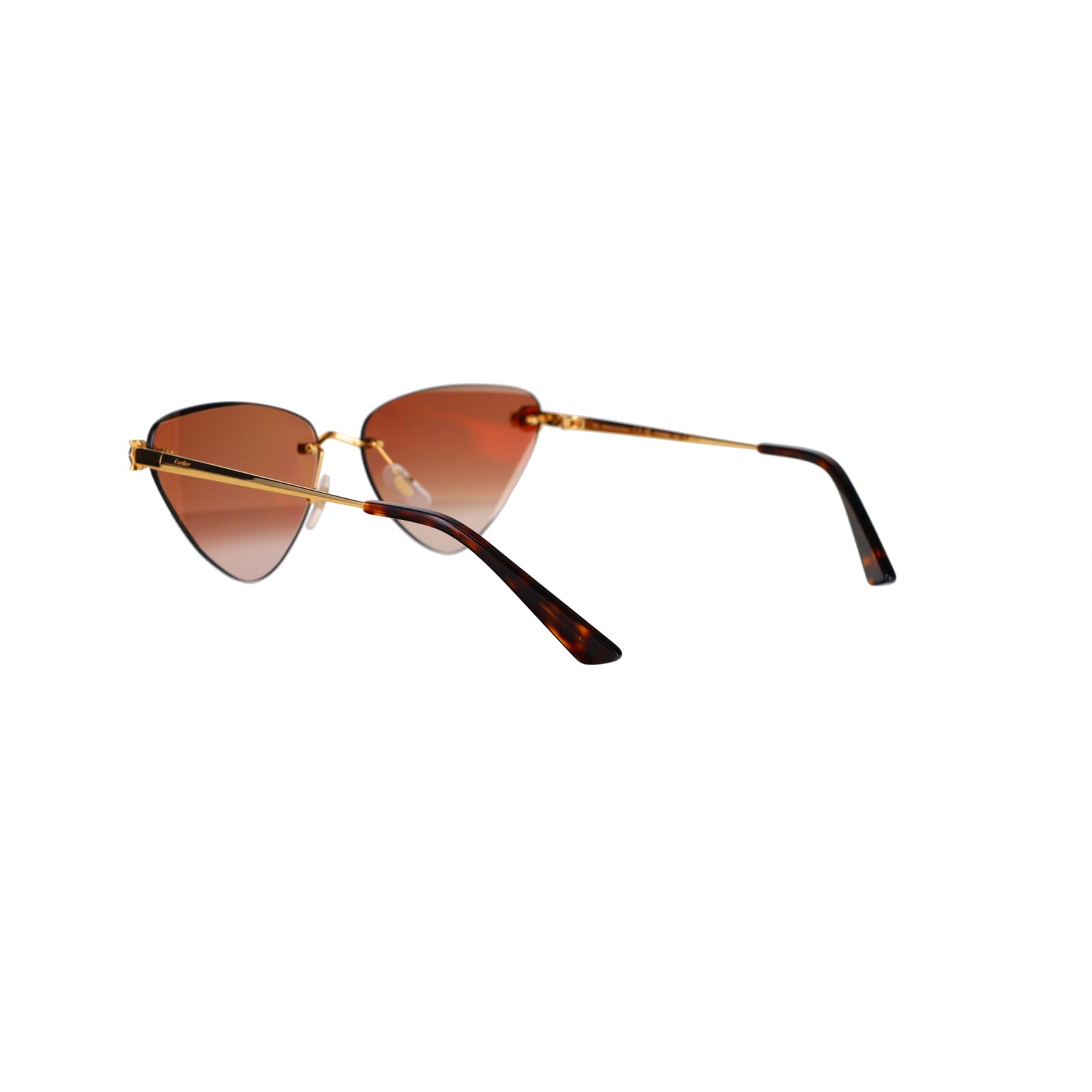 CT0399S Geometric Panthère Sunglasses