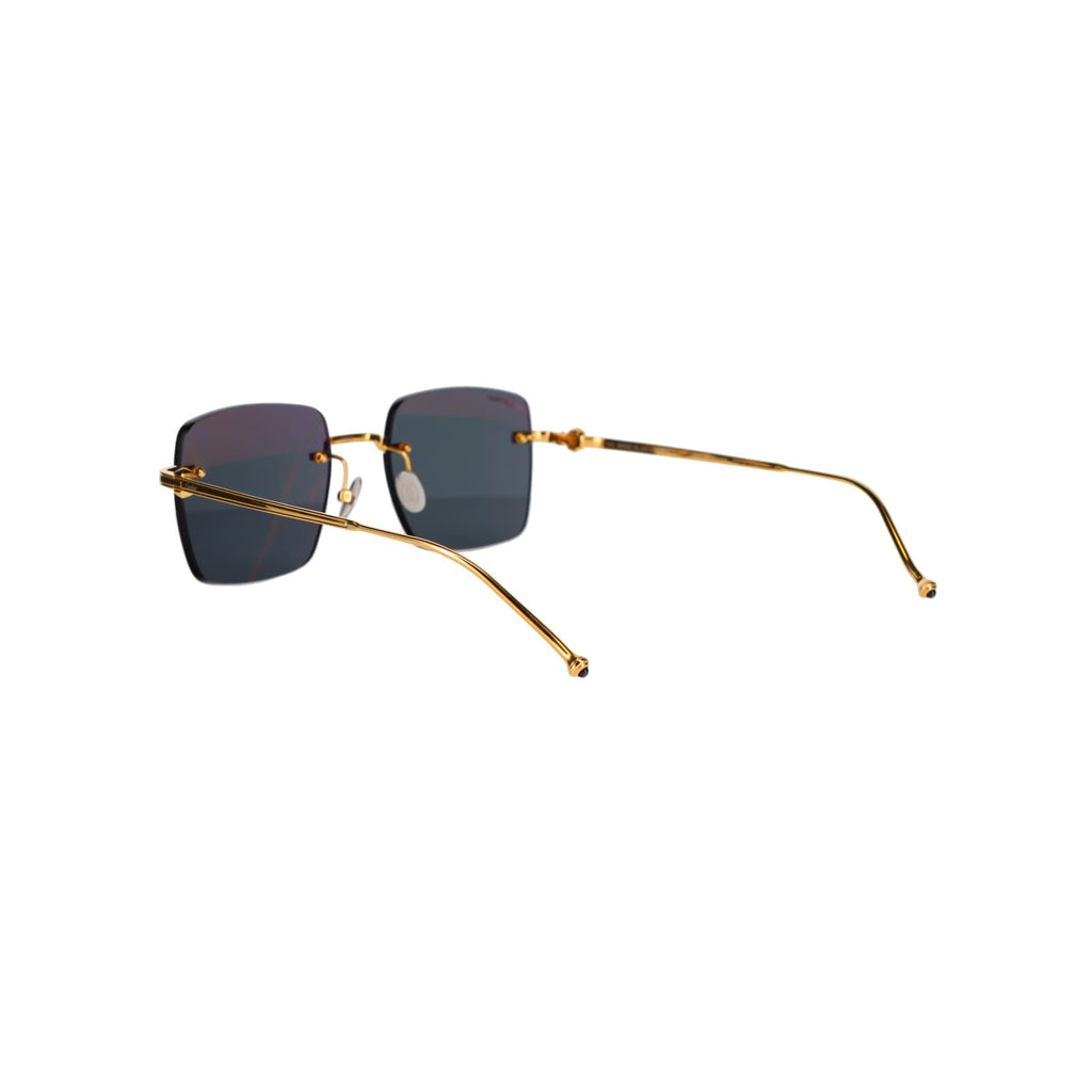 CT0403S Pasha Sunglasses