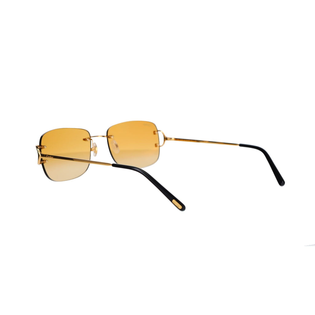 CT0011RS Signature C Sunglasses