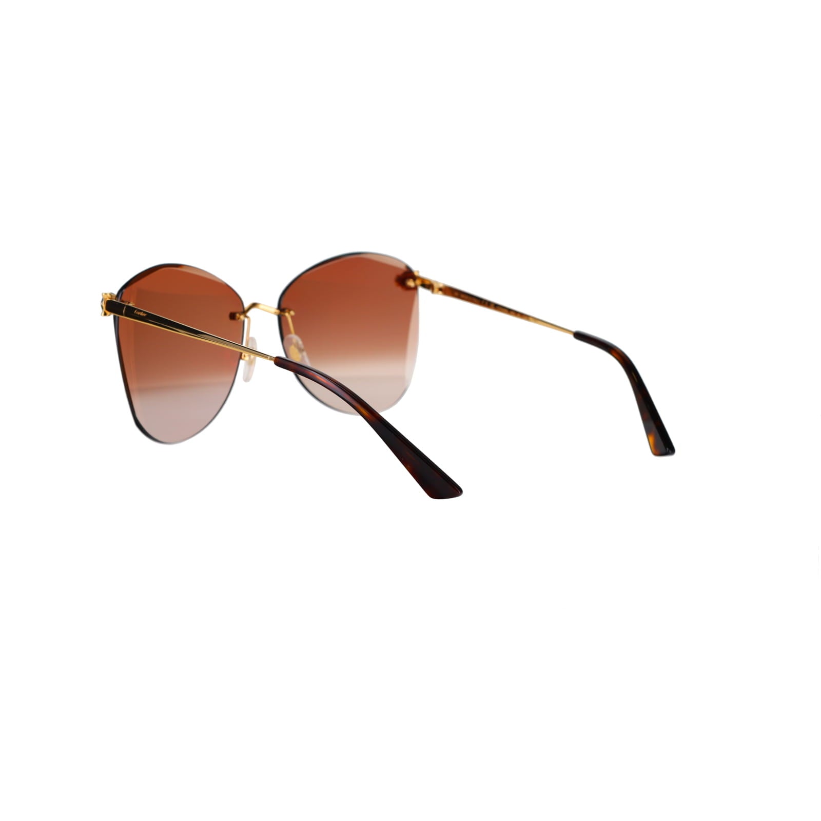CT0398S Cat-eye Panthère Sunglasses