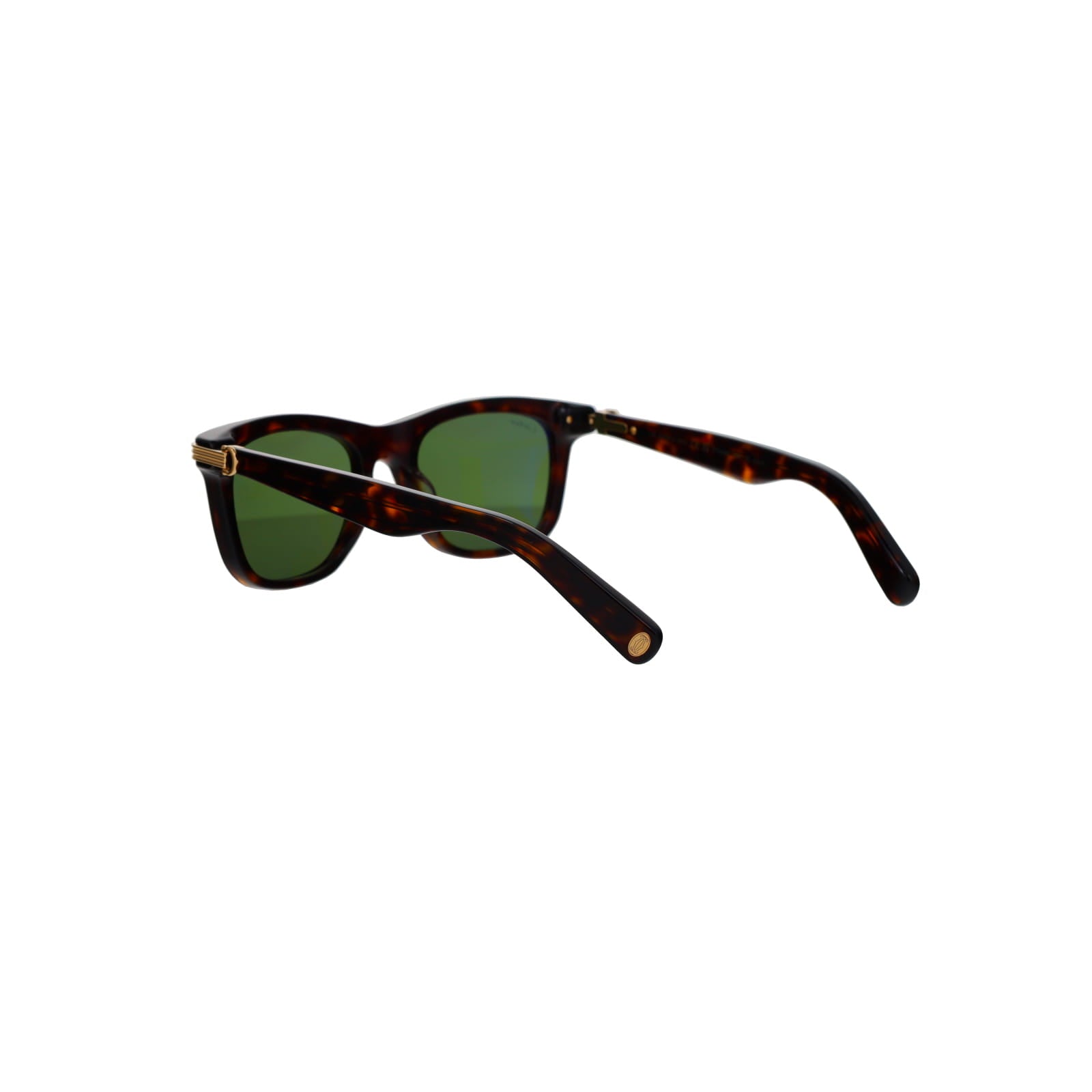 CT0396S Godron Contemporary Acetate Sunglasses
